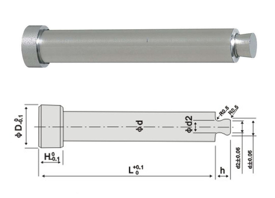 Sprue τύπων ακρών μερών φορμών εγχύσεων Rht Rlr πλαστική καρφίτσα εξολκέων